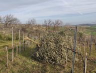 Meteo pazzo tra piogge assenti e forte vento: danni in provincia