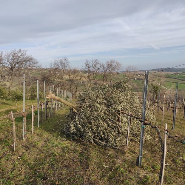 Meteo pazzo tra piogge assenti e forte vento: danni in provincia