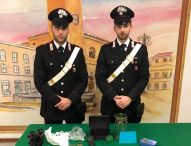 Fano, controlli ai passeggeri dei bus. I carabinieri arrestano 36enne per droga