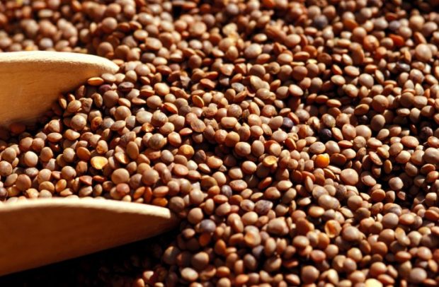 Boom di legumi: Marche ai vertici per lenticchia e ceci ma occhio al falso Made in Italy