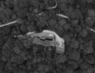 Pergola, Casa Sponge aderisce a M’Illumino di Meno: verranno piantati dei platani