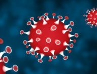 Al via una profonda opera di sanificazione delle strade di Pesaro per combattere il Coronavirus