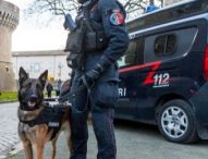 Operazione Coffee Break: 4 arresti, sequestro di droga e denaro a Fano e Colli al Metauro, grazie al fiuto del cane One