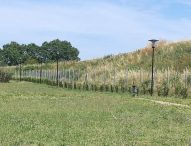Fano inaugura il 2025 con un progetto di forestazione a Monteschiantello