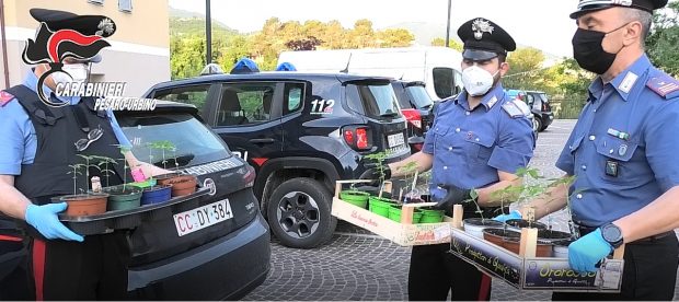 Operazione ‘Bunker’, duro colpo allo spaccio nella provincia di Pesaro Urbino: 7 arresti, 15 denunce, sequestrati 200 grammi di cocaina