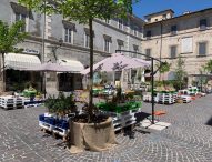 Visite guidate, Ci vediamo in Centro, passeggiata in bicicletta, menù a tema: nel week-end a Pergola torna Colori e Tinte a Tavola