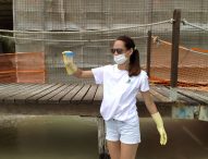 Nelle Marche tutti i punti sulla costa analizzati dalla Goletta Verde di Legambiente risultati entro i limiti di legge