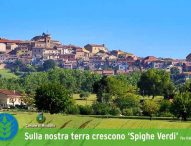 Per il quarto anno Mondolfo ottiene il riconoscimento Spighe Verdi, unico Comune della provincia