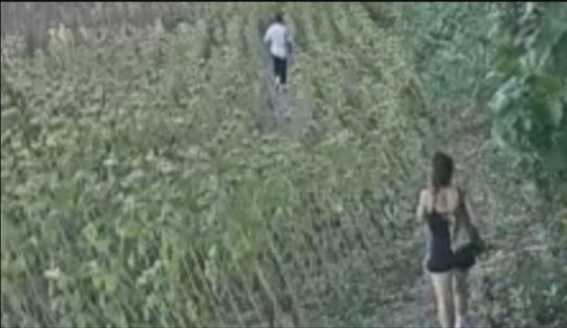 3 etti di cocaina interrata tra i girasoli: arrestata dai carabinieri coppia di spacciatori