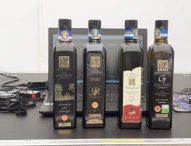 Consorzio Dop Cartoceto sigla partnership con team Imperiale Racing di Mirandola