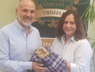 Trovato ad Acqualagna mezzo chilo di tartufo bianco, partenza con il botto per la stagione