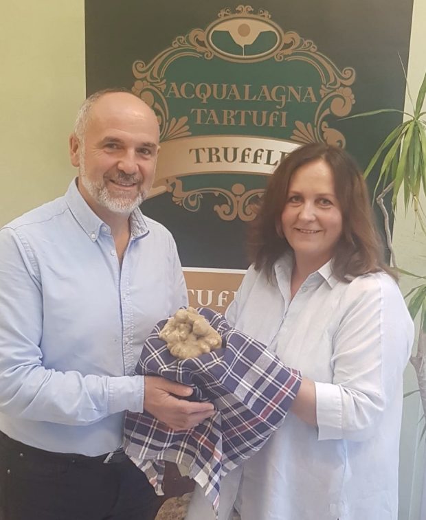 Trovato ad Acqualagna mezzo chilo di tartufo bianco, partenza con il botto per la stagione