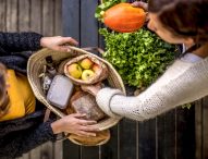 I piccoli produttori agroalimentari in rete con i cittadini: arrivano gli Alveari