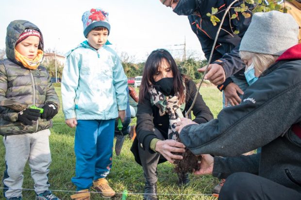 A Fano un albero per ogni neonato