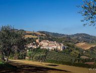 Cartoceto Dop, il Festival: annullata 44esima edizione, ma olio Dop si può prenotare nelle aziende agricole