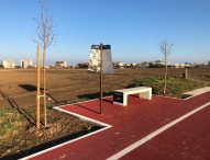 Marotta, Giornata Nazionale degli Alberi: piantumazione di nuove essenze lungo la pista ciclopedonale di Piano Marina