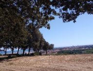 Fano, Interquartieri Trave-Gimarra: il comitato si rivolge alla Soprintendenza