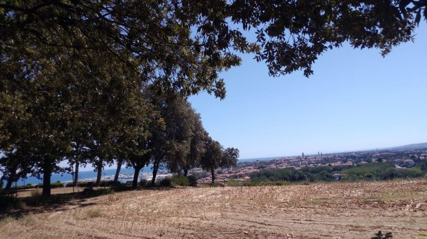 Movimento 5 stelle Fano: “Variante di Gimarra: quando l’arroganza si scontra con la realtà”