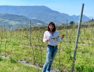 Dal Montefeltro agli istituti scolastici: il Distretto Biologico Terre Marchigiane continua a crescere