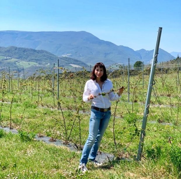 Dal Montefeltro agli istituti scolastici: il Distretto Biologico Terre Marchigiane continua a crescere