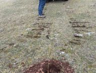 Monte Catria, iniziati i lavori per la tartufaia in alta quota