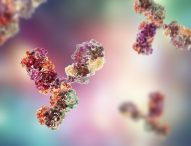 Marche, iniziata somministrazione degli anticorpi monoclonali