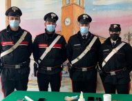 Mondolfo e Trecastelli, stroncata la rete dello spaccio: 4 arresti