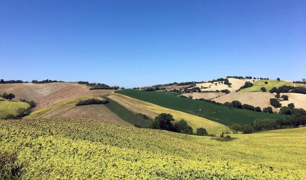 Connettività e futuro digitale: le Marche alla prova del divario tecnologico