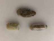 Sorpreso alla stazione ferroviaria di Pesaro 43enne irregolare sul territorio. Aveva ingerito 3 ovuli di eroina