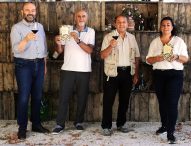 Pergola: week-end tra vino, libri, arte e attività outdoor in uno dei Borghi più belli d’Italia