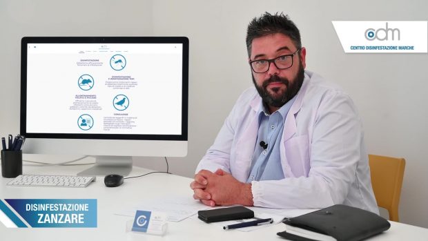 Sul web i consigli per combattere le infestazioni di insetti e roditori col Centro disinfestazione Marche di Fano
