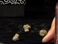 A Pergola l’asta per ‘il tartufo più piccolo del mondo’. Un successo la 25esima edizione della Fiera