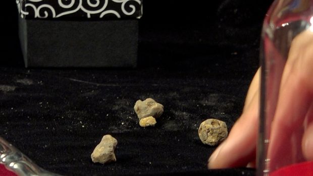 A Pergola l’asta per ‘il tartufo più piccolo del mondo’. Un successo la 25esima edizione della Fiera