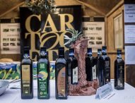 Torna Cartoceto Dop, il Festival il 7 e 14 novembre