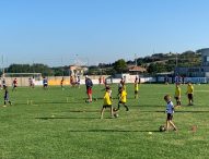 Academy MarottaMondolfo settore giovanile modello: numeri record, gli Insuperabili, collaborazione con l’Atalanta