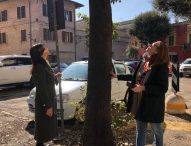 Fano, piazza Marcolini: al via i lavori