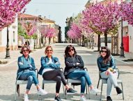 Fano, torna La via dei Ciliegi: domenica 24 aprile si celebra la primavera