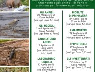 Al via un corso gratuito per conoscere la natura di Fano