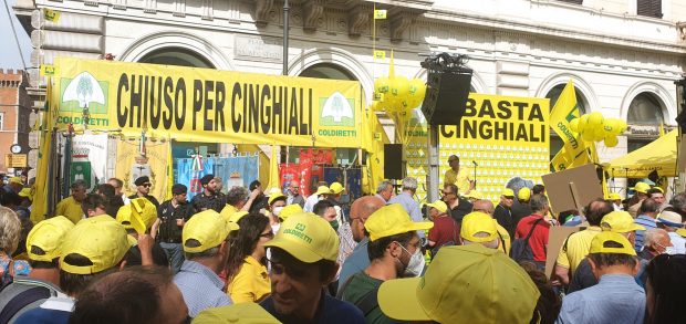 Coldiretti Marche, giovani agricoltori marchigiani a Roma per protestare contro l’invasione dei cinghiali