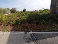 Tratta ferroviaria Fano Urbino in stato di abbandono, Udc Fano scrive all’Ente Rfi