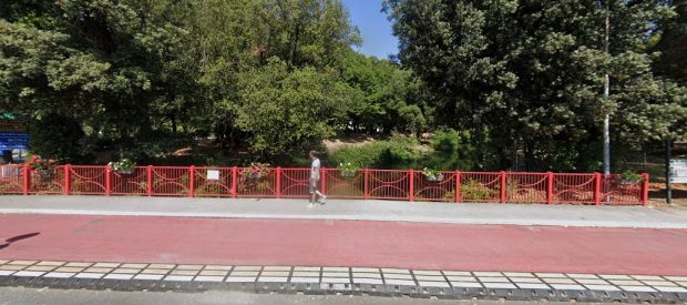 Fano, avviato il recupero della fauna ittica del Canale Albani