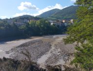 Coldiretti Marche, disastro nei campi: scatta la conta dei danni