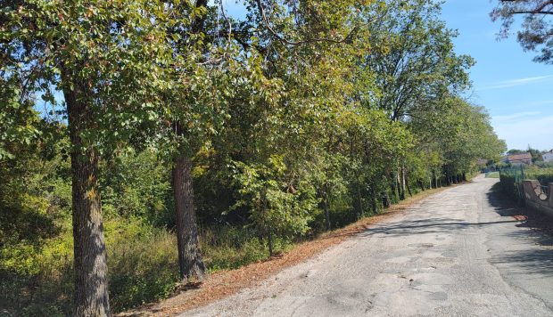 Udc Fano: Tratta ferroviaria Fano-Urbino venga pulita e curata