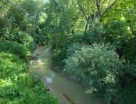 Serfilippi (Lega): “Al via studio per fiume Metauro e torrente Arzilla. Sicurezza idrogeologia è priorità per la Regione