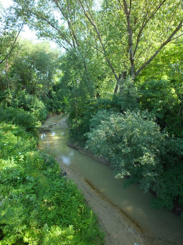 Serfilippi (Lega): “Al via studio per fiume Metauro e torrente Arzilla. Sicurezza idrogeologia è priorità per la Regione