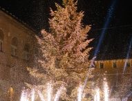 Fano, acceso l’albero in Piazza XX settembre