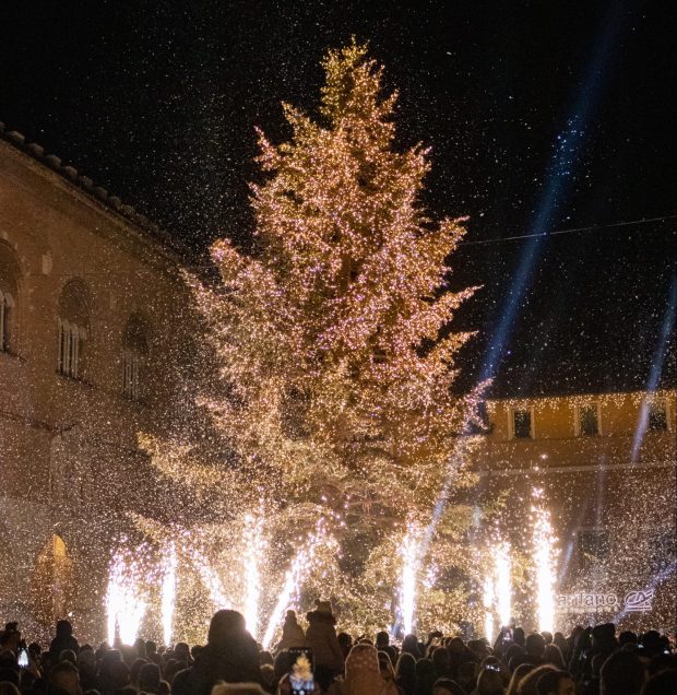 Fano, acceso l’albero in Piazza XX settembre