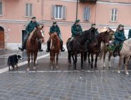 Fano, domenica 15 gennaio torna la Benedizione degli animali