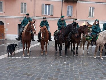 Fano, domenica 15 gennaio torna la Benedizione degli animali
