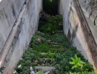 Fratelli d’Italia Fano: “Decoro urbano del centro storico, si passi ai fatti”